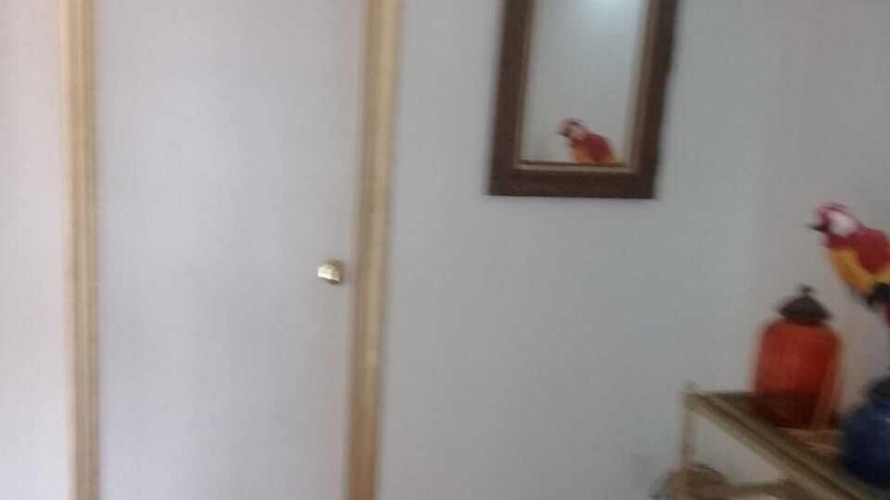 Photo of Others in Machado