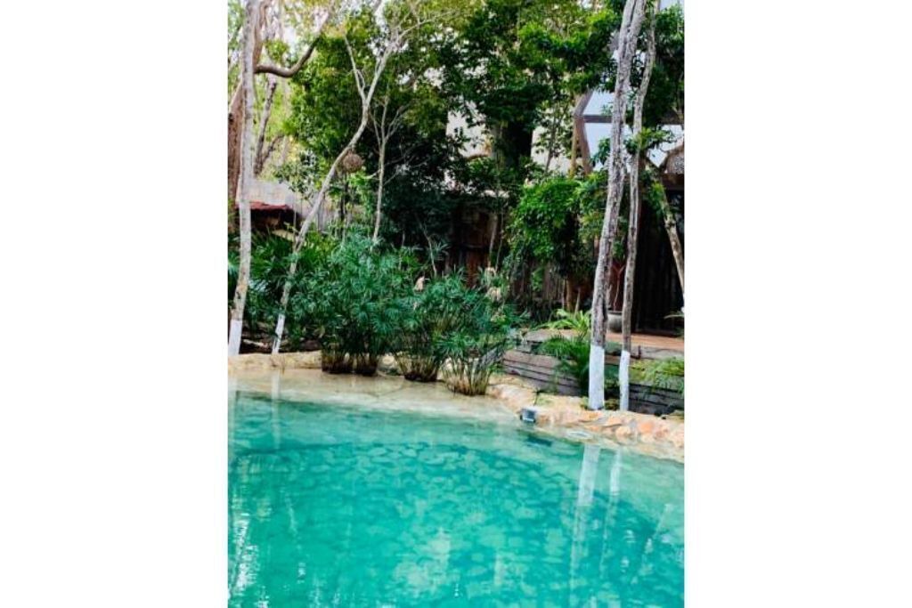 Photo of Outdoor in Tulum City Center
