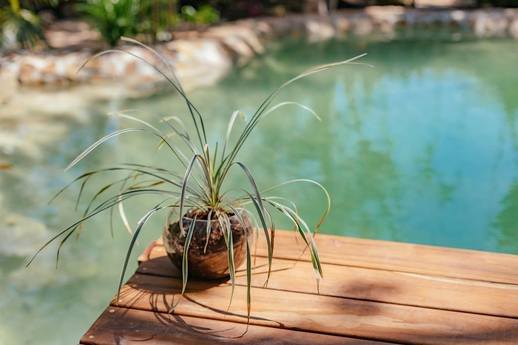 Photo of Outdoor in Tulum City Center