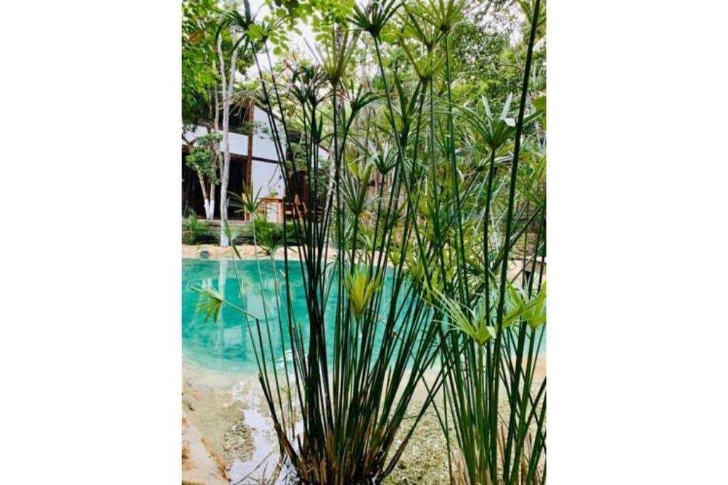 Photo of Outdoor in Tulum City Center