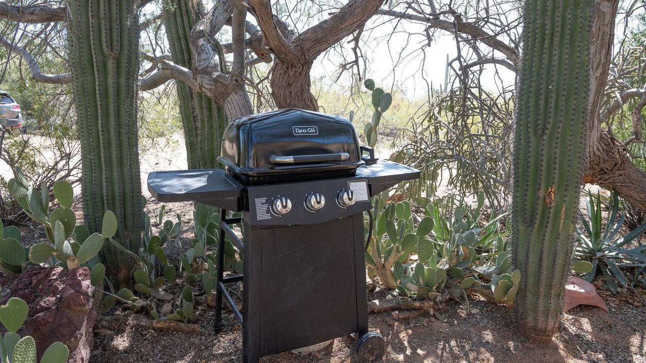 Photo of Outdoor in Picture Rocks