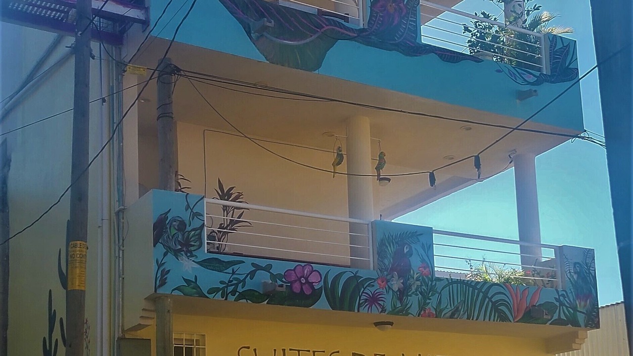 Photo of Others in Punta de Mita