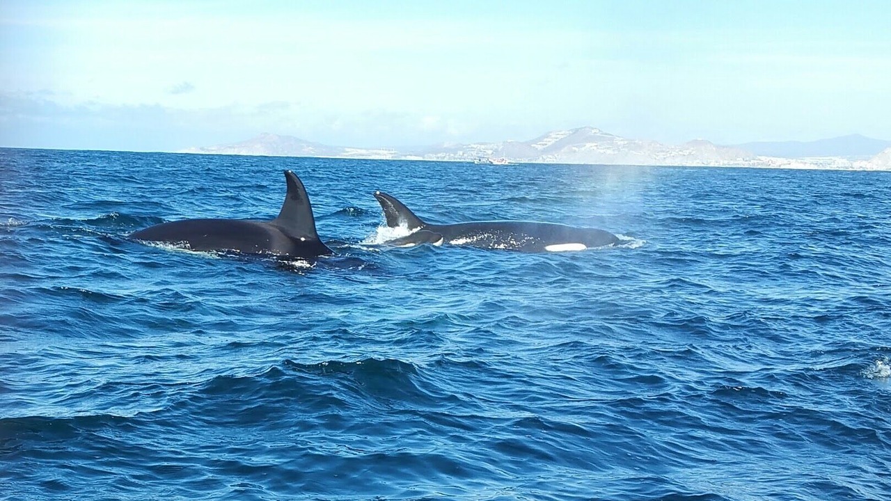 Photo of Others in Paraiso Escondido