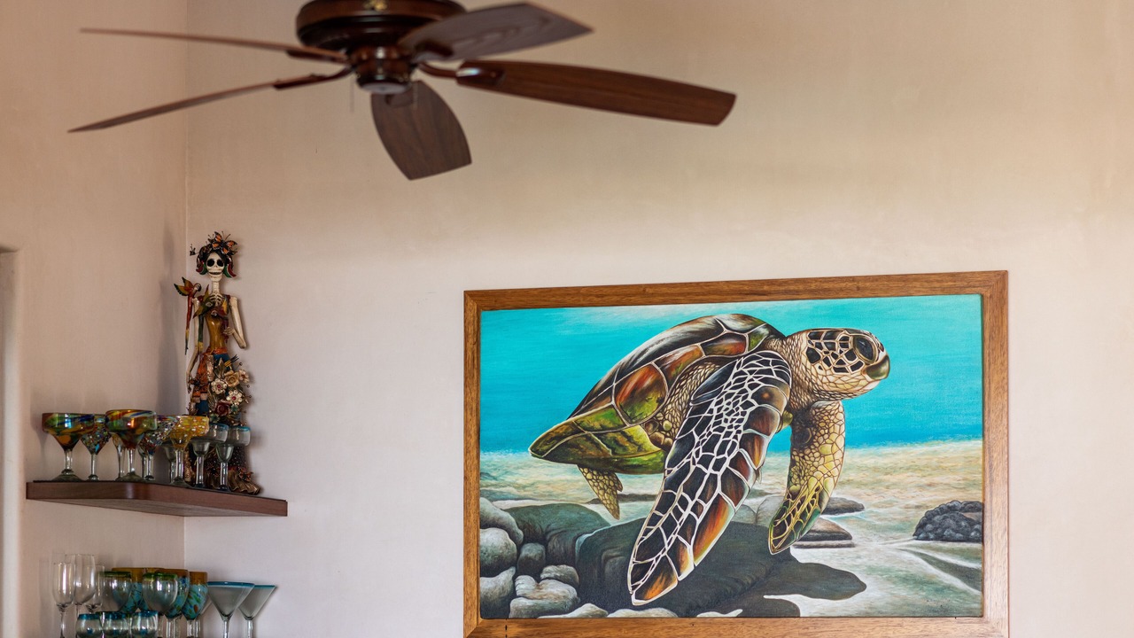 Photo of Others in Troncones