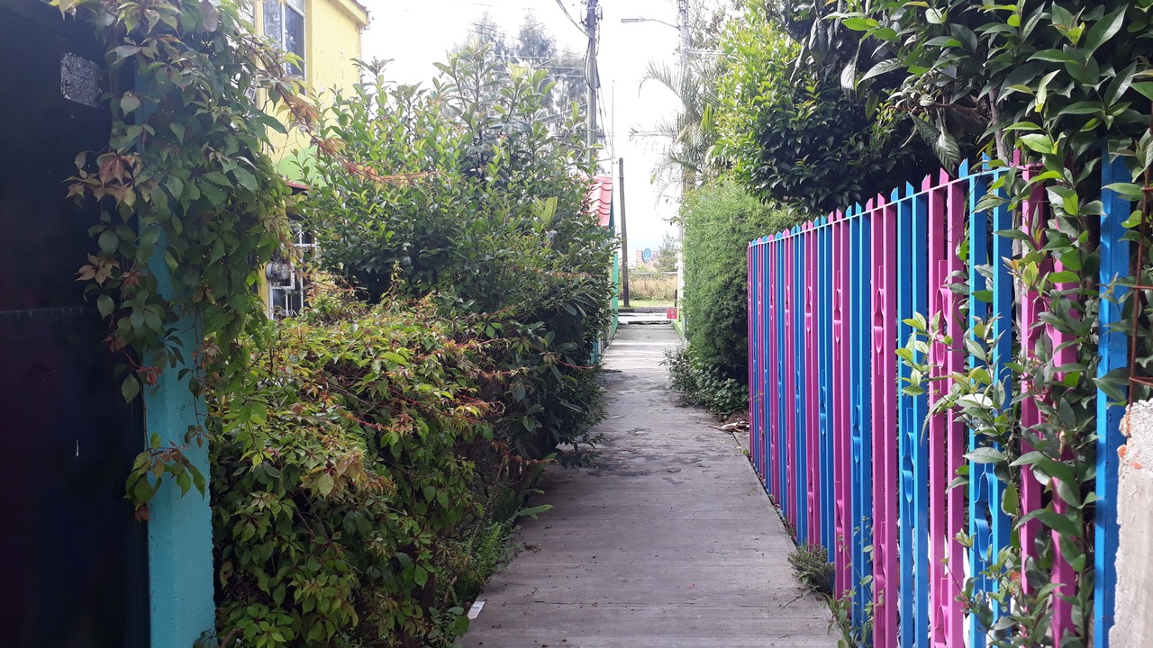 Photo of Outdoor in Morelia