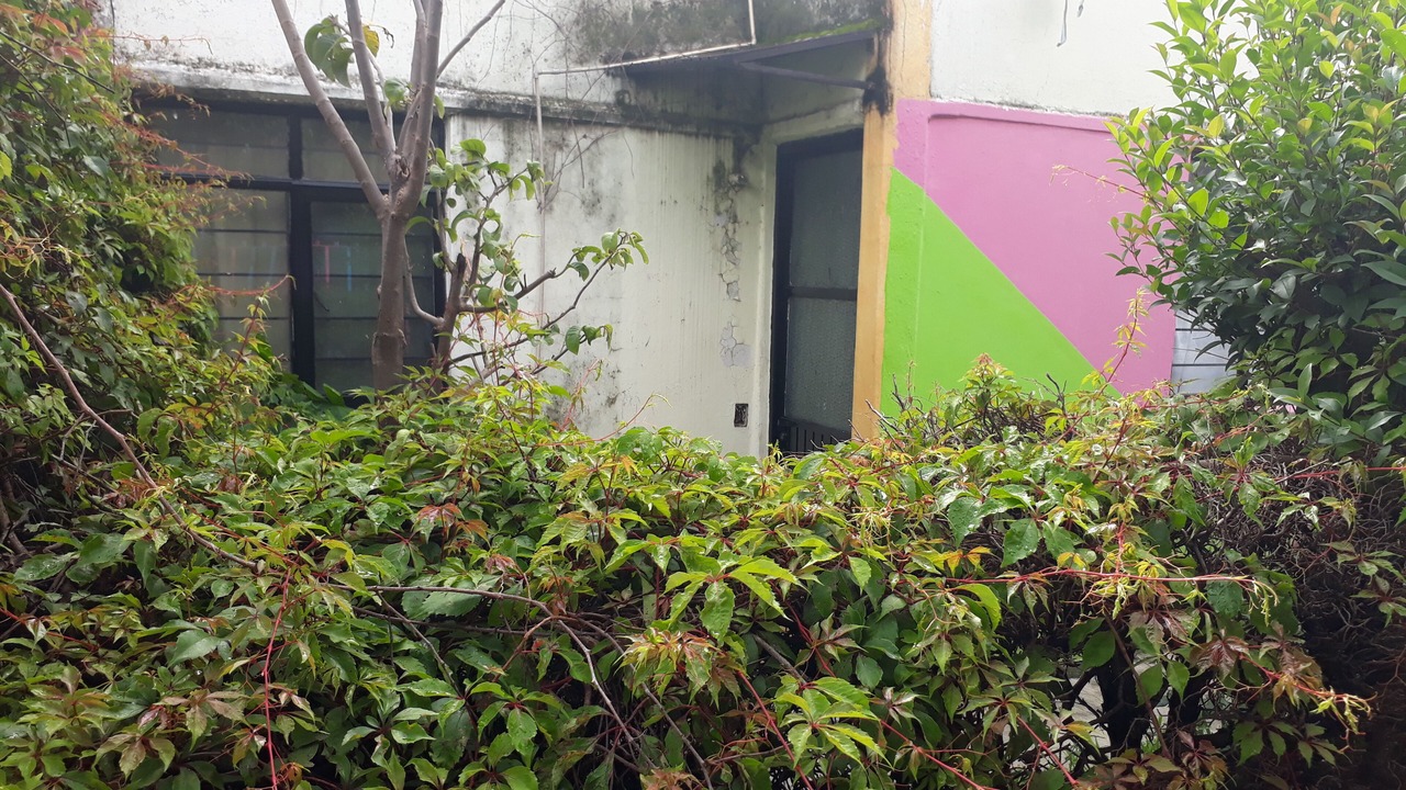 Photo of Outdoor in Morelia