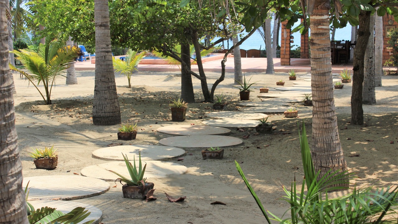 Photo of Outdoor in Barra de Potosi