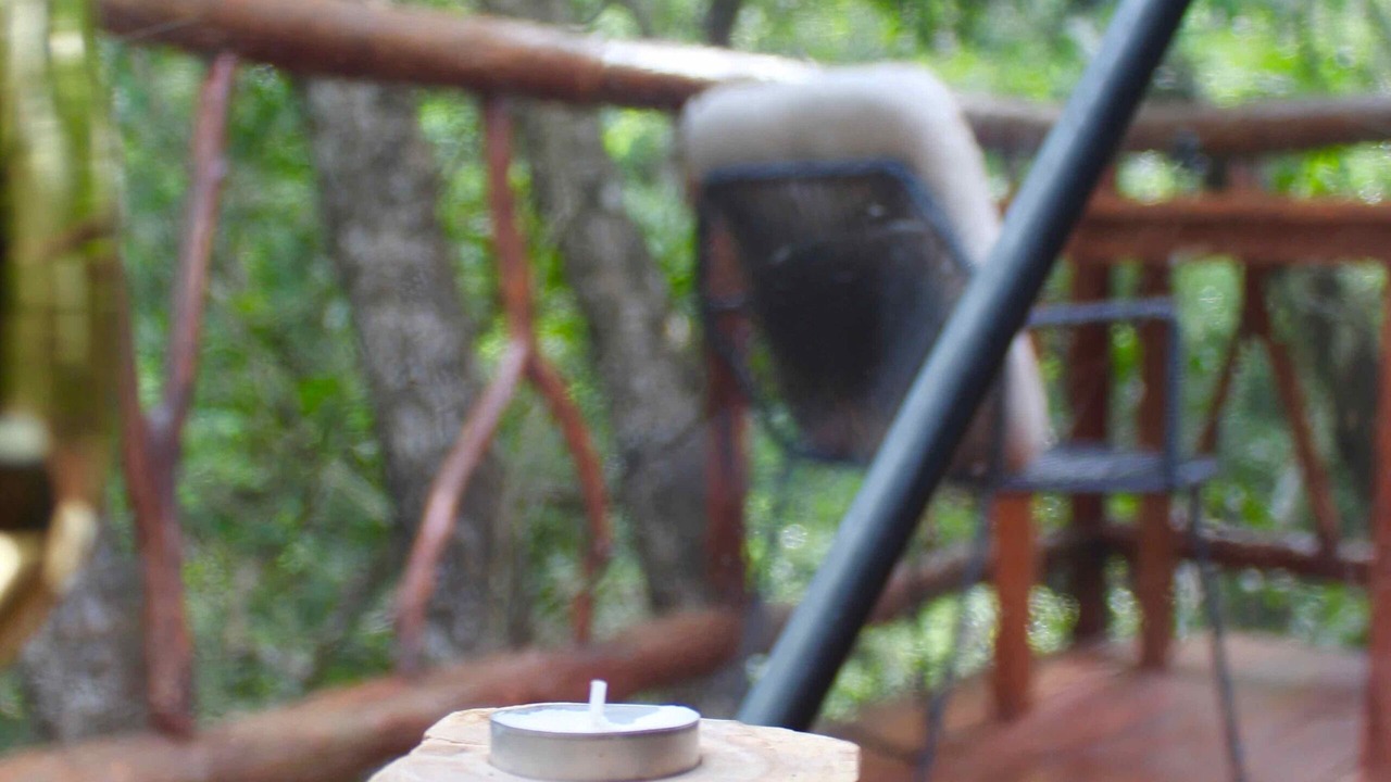 Photo of Others in Tulum