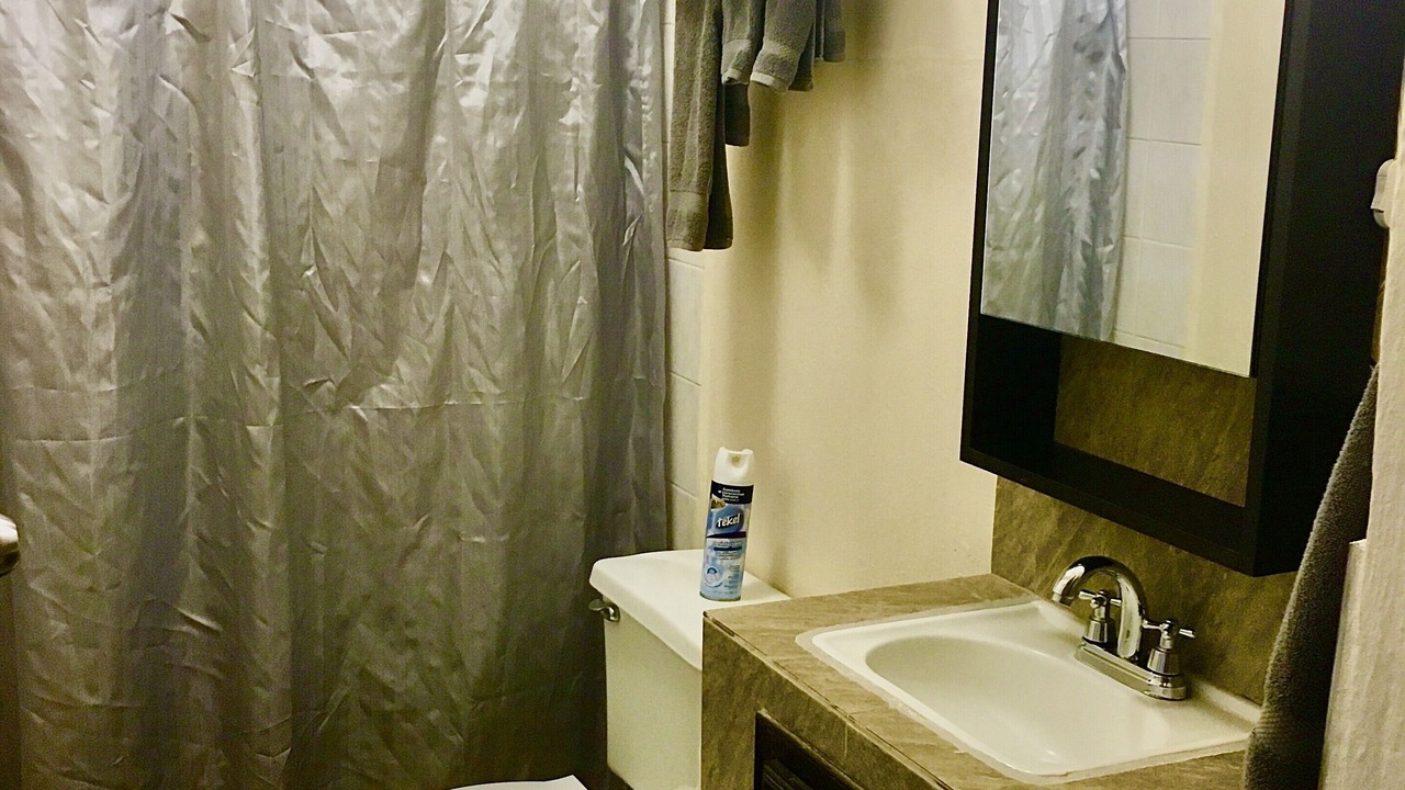 Photo of Bathroom in Riberas del Pilar