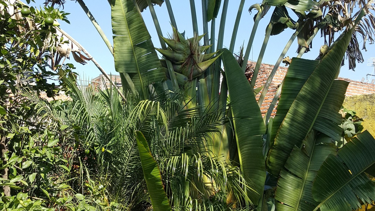 Photo of Outdoor in Guadalajara
