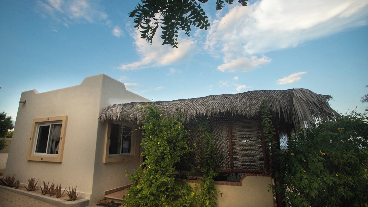 Photo of Outdoor in Vinorama