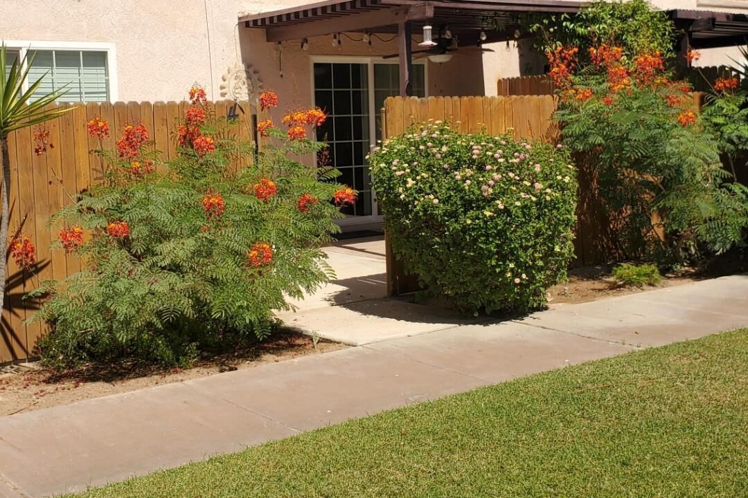 Photo of Outdoor in Palo Verde