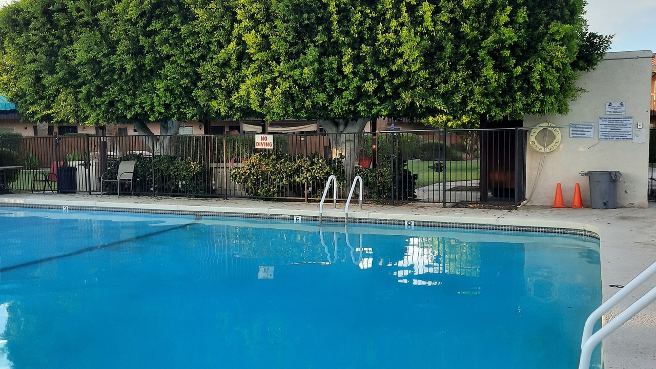 Photo of Outdoor in Palo Verde