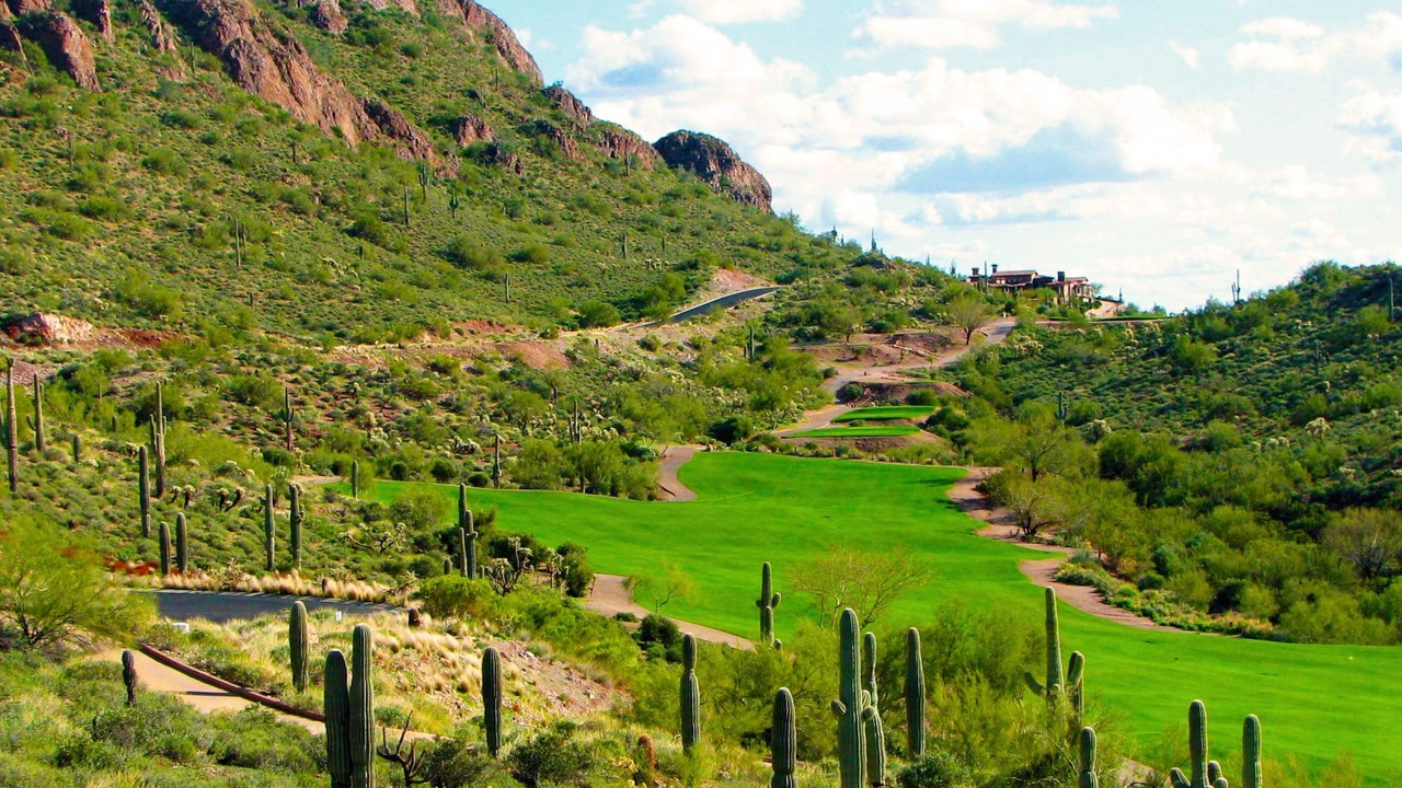 Photo of Others in Gold Canyon