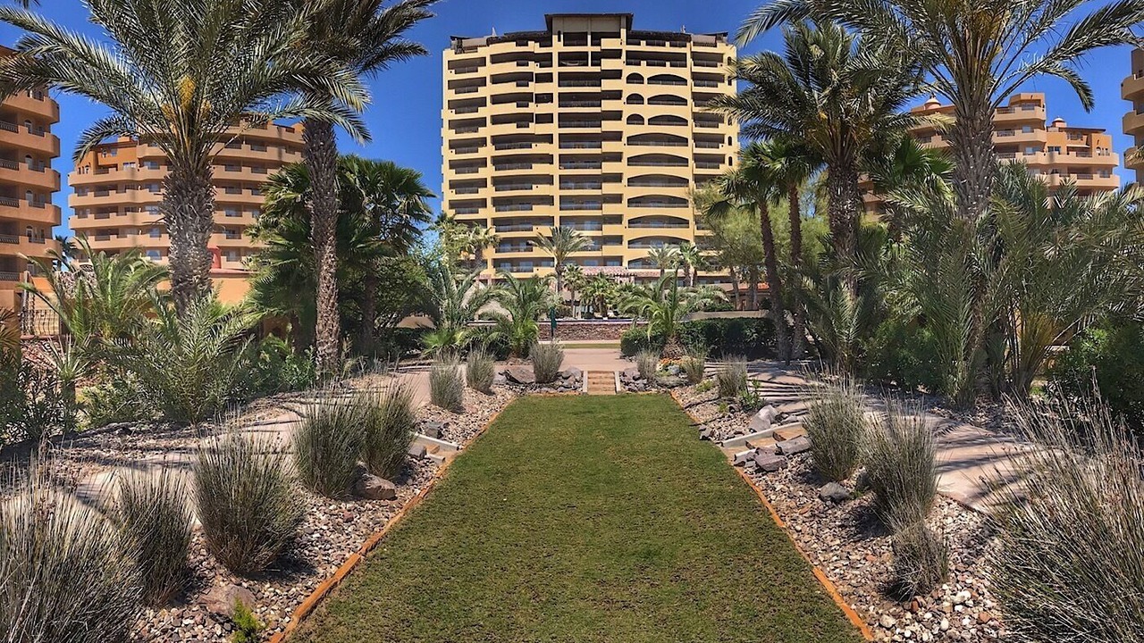 Photo of Others in Puerto Penasco