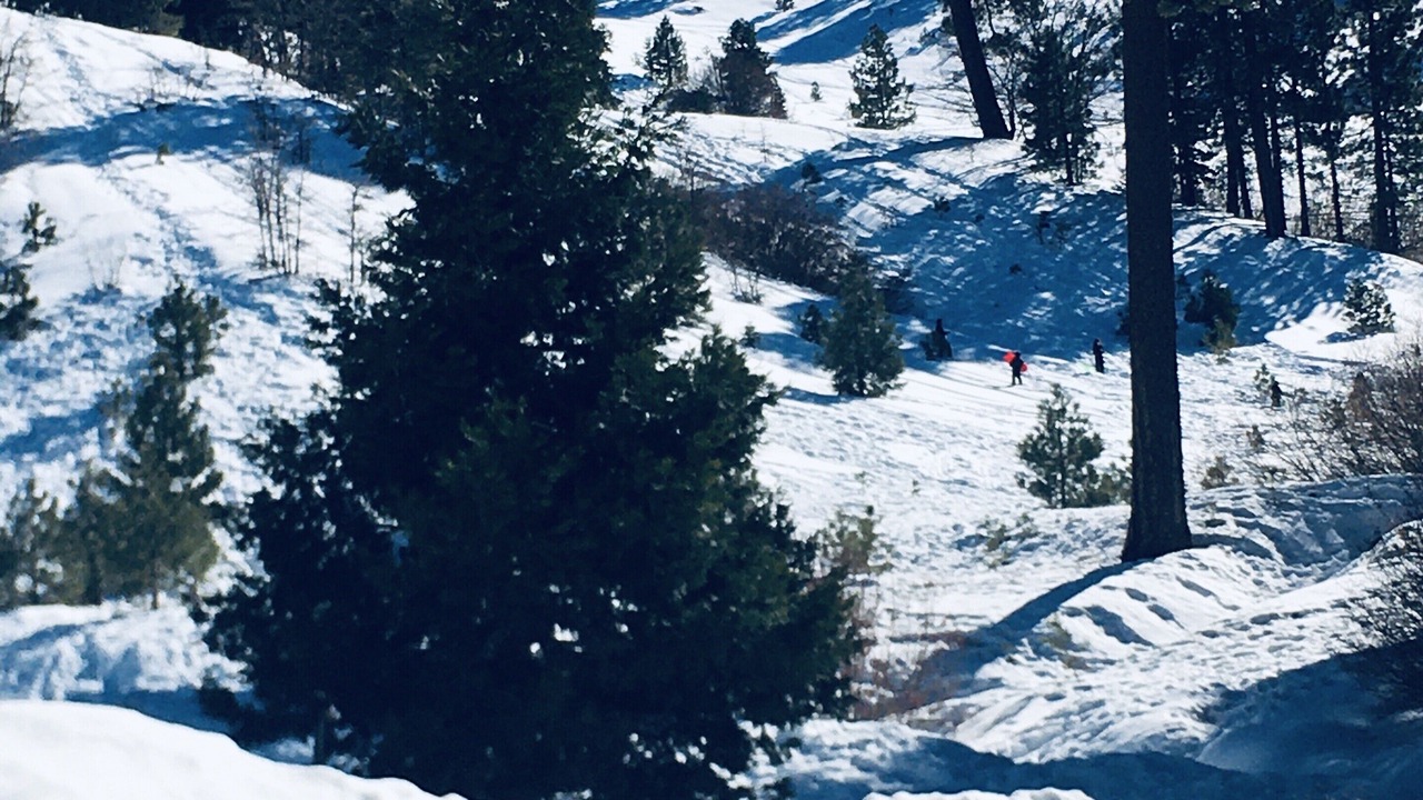 Photo of Others in Green Valley Lake