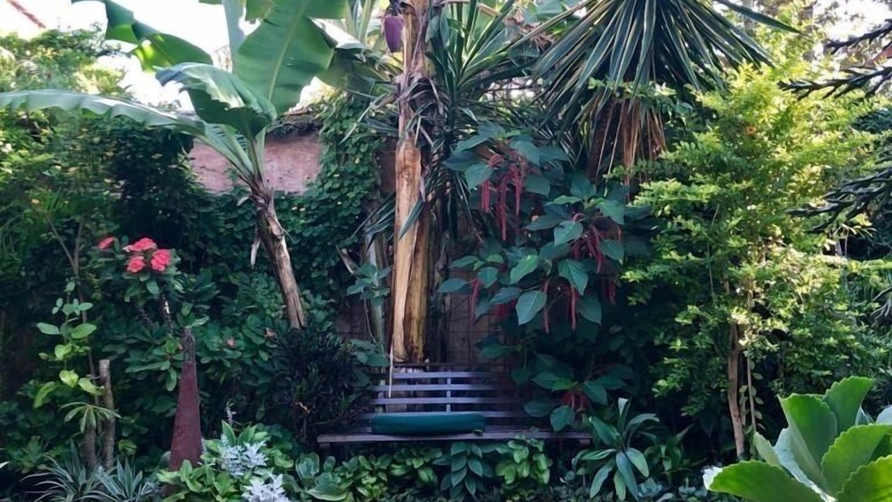 Photo of Outdoor in Centro