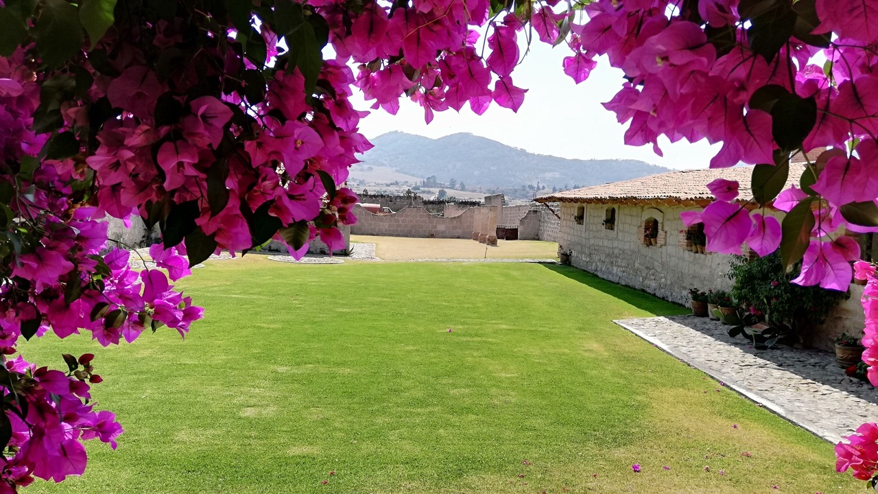 Photo of Outdoor in San Pedro del Gallo