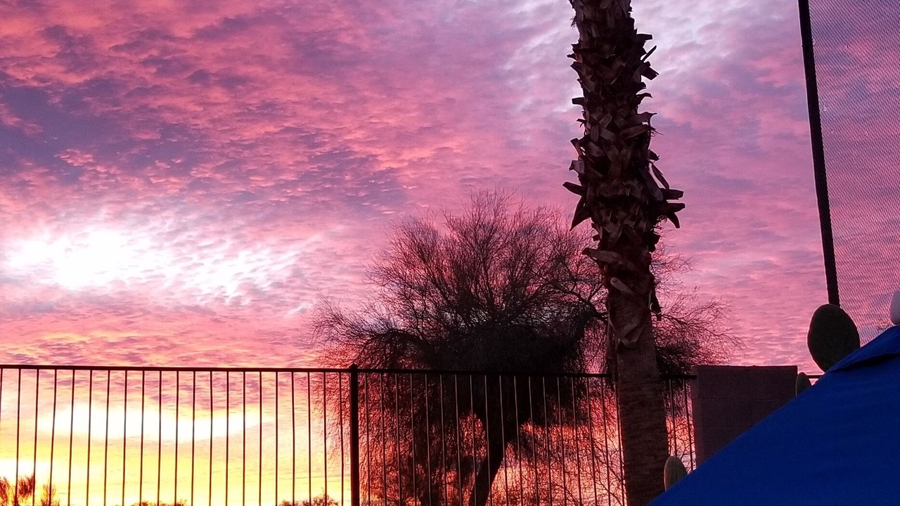 Photo of Outdoor in San Tan Valley