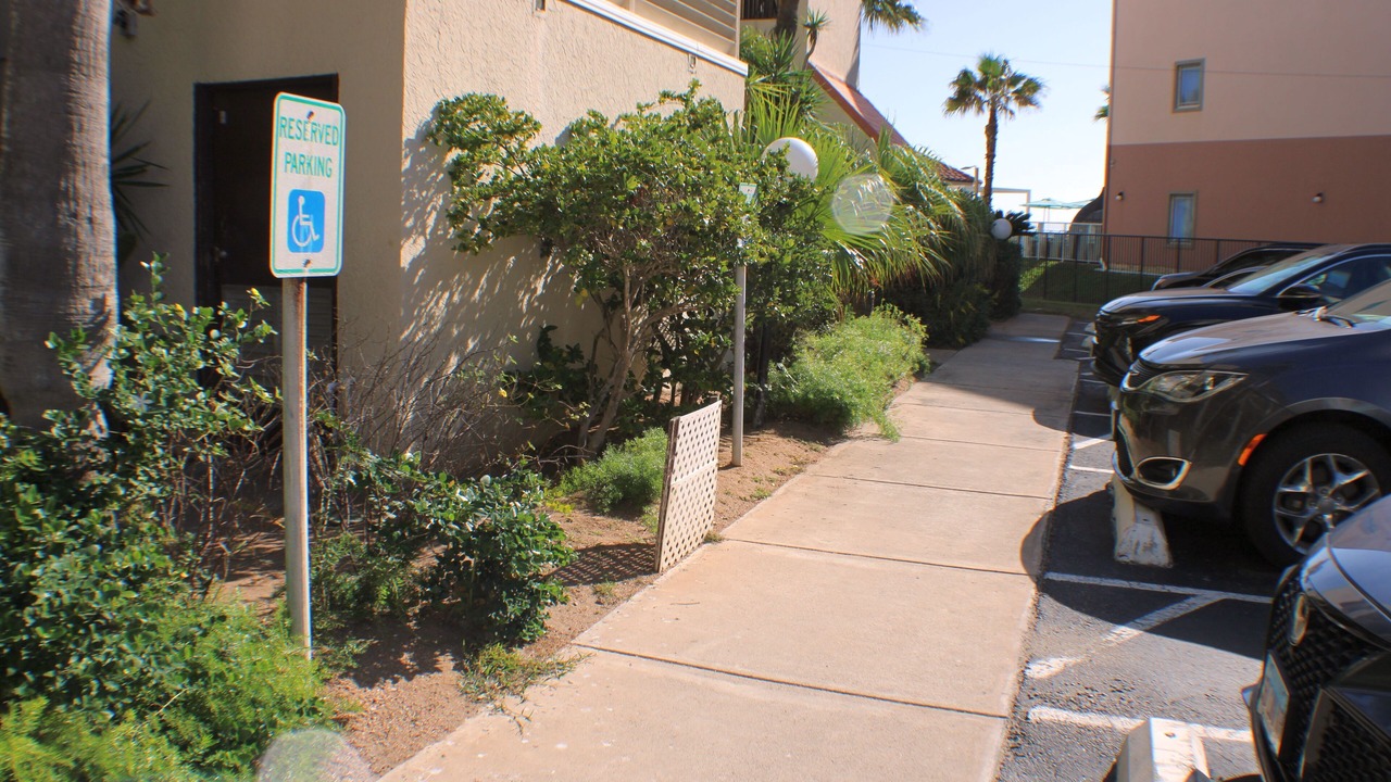 Photo of Others in South Padre Island