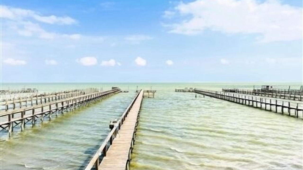 Photo of Others in Port Mansfield