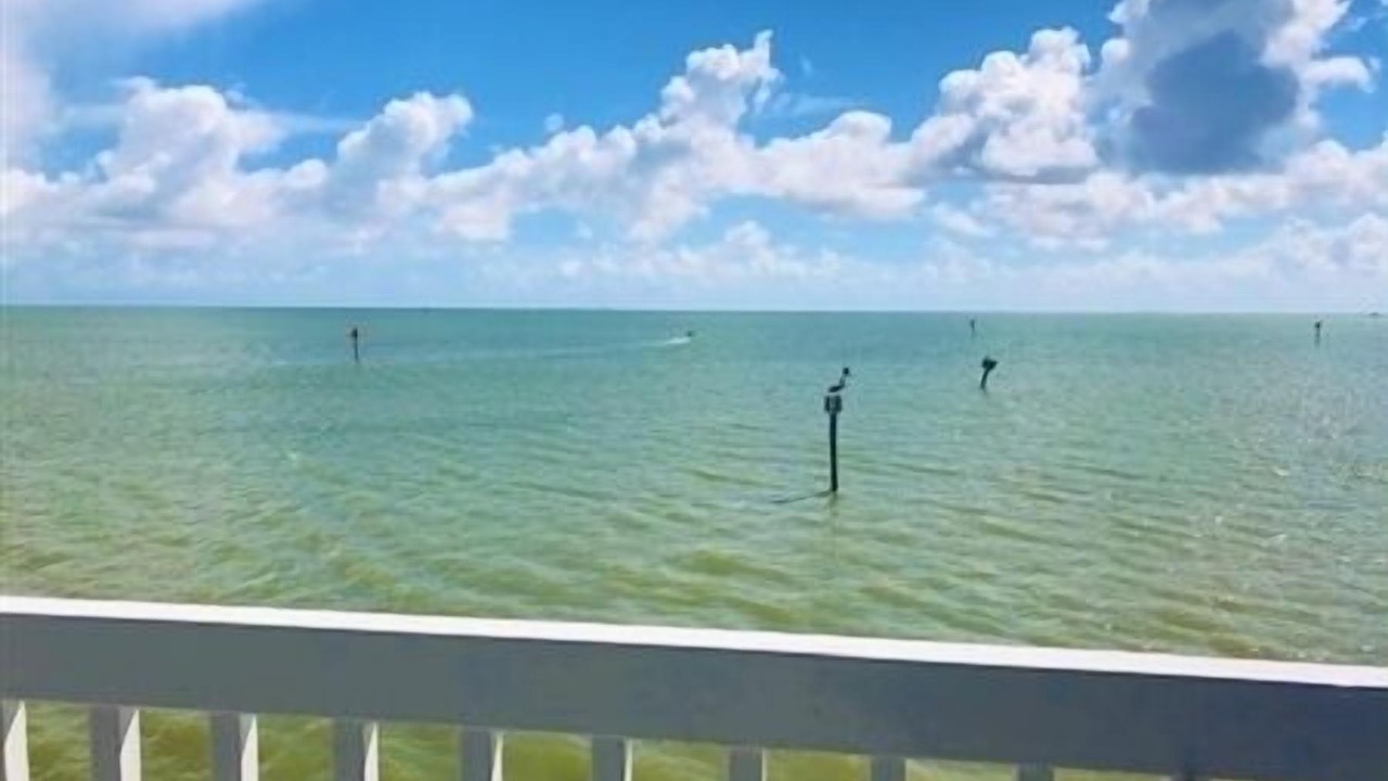 Photo of Outdoor in Port Mansfield