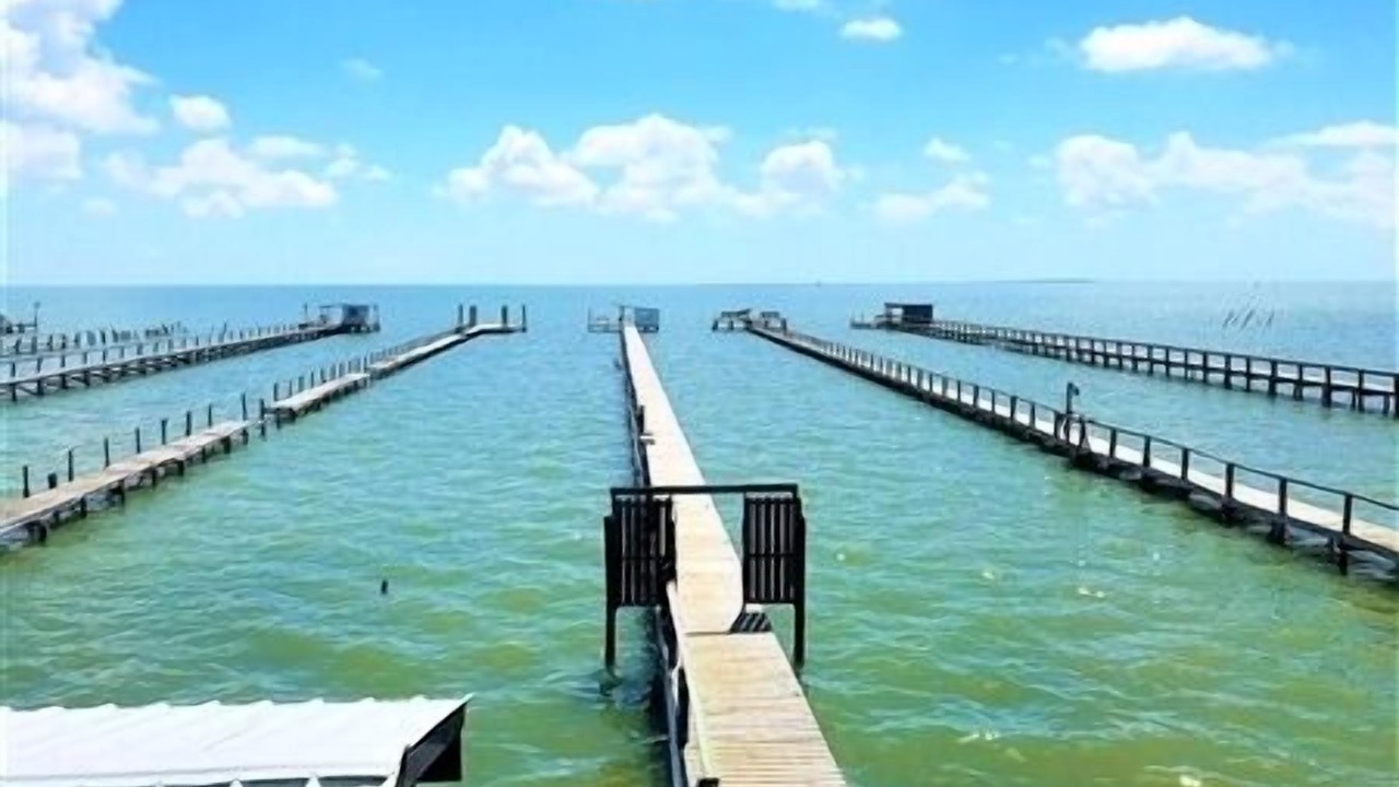 Photo of Others in Port Mansfield