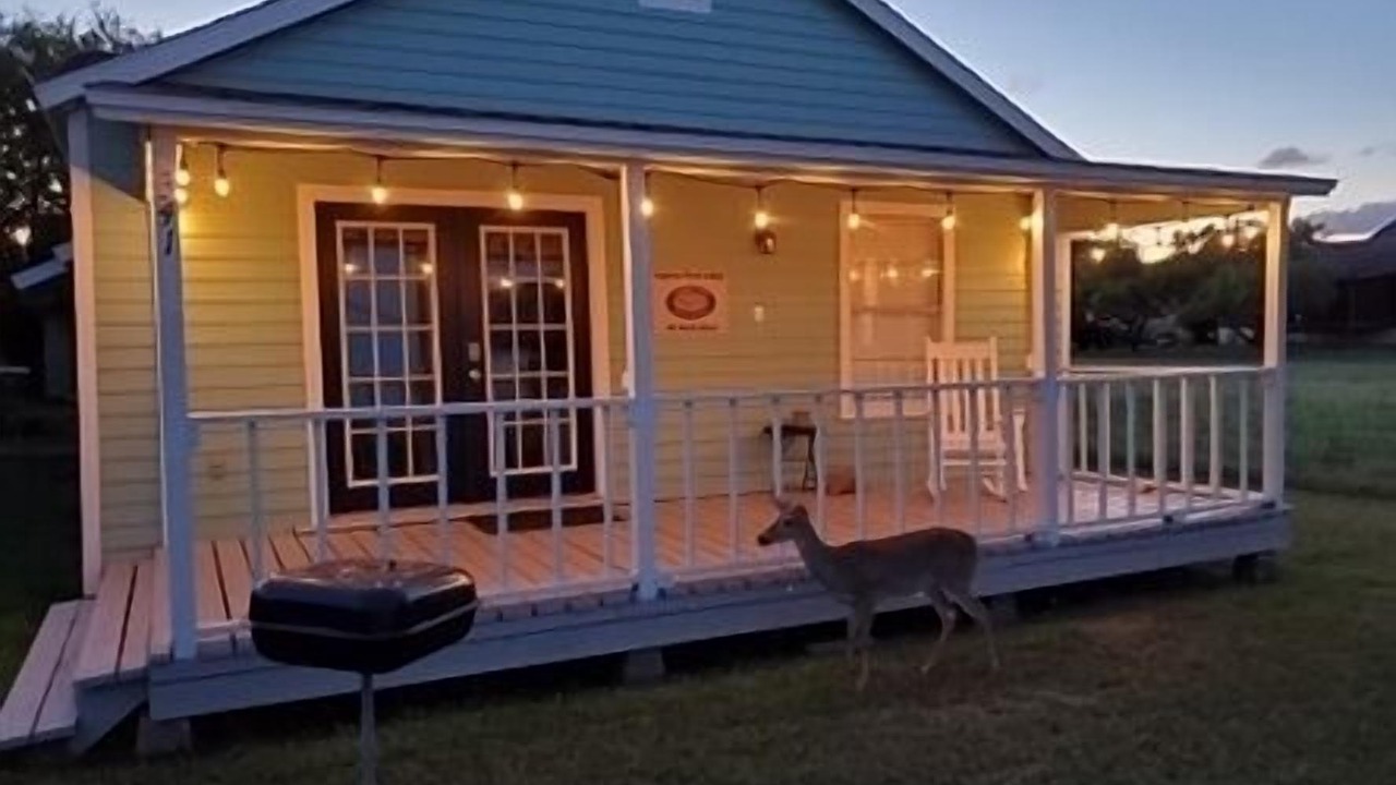 Photo of Outdoor in Port Mansfield
