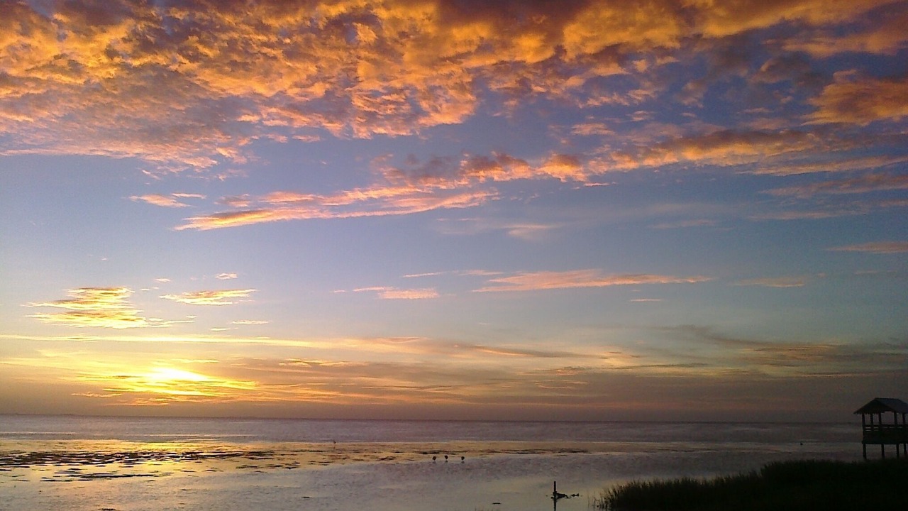 Photo of Others in South Padre Island