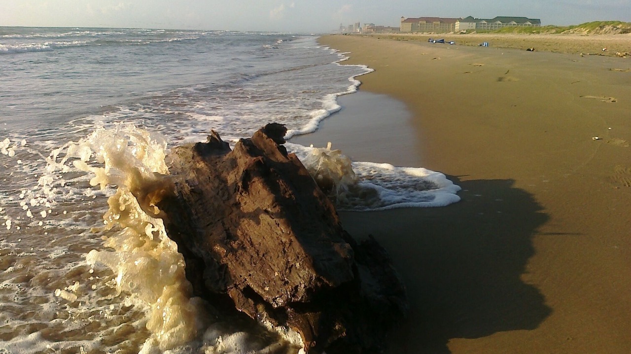 Photo of Others in South Padre Island