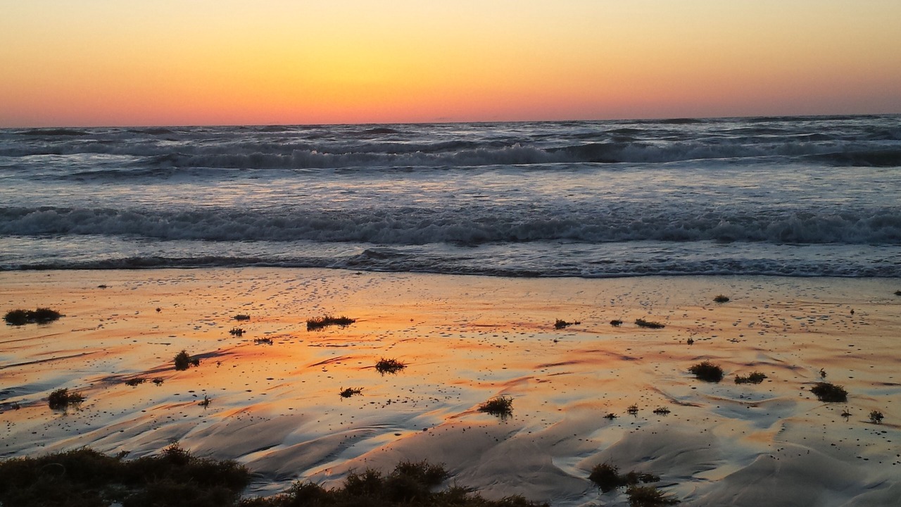 Photo of Others in South Padre Island