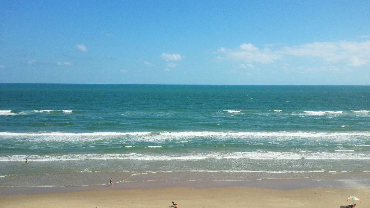 Photo of Others in South Padre Island
