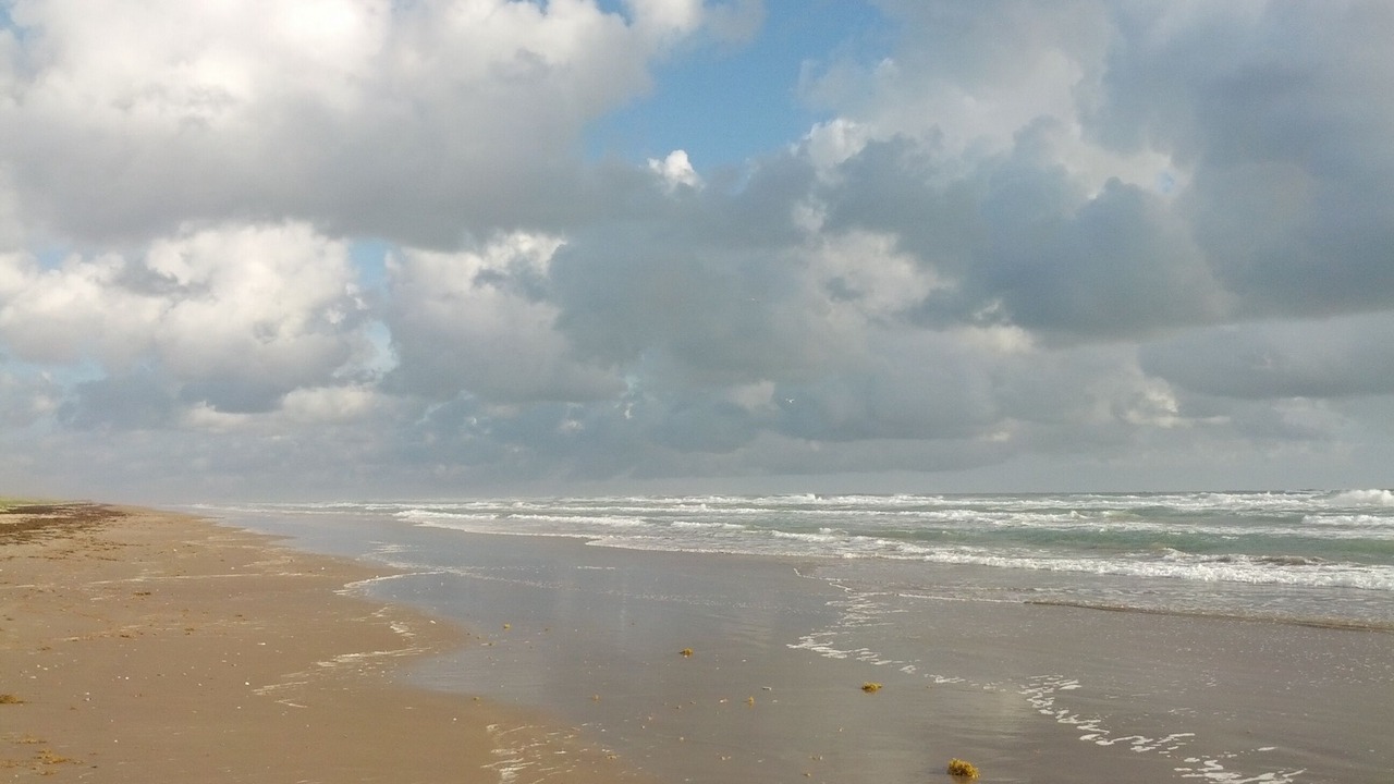 Photo of Others in South Padre Island