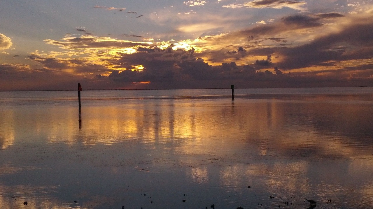 Photo of Others in South Padre Island