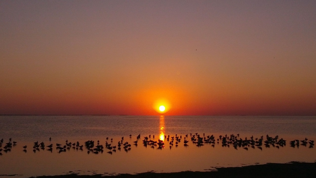 Photo of Others in South Padre Island