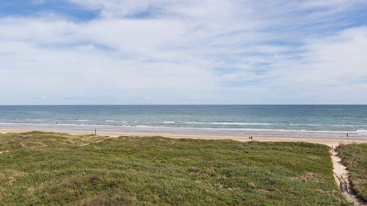 Photo of Others in South Padre Island