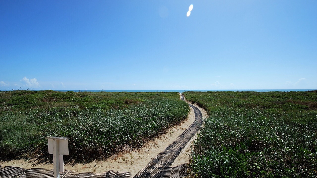 Photo of Others in South Padre Island