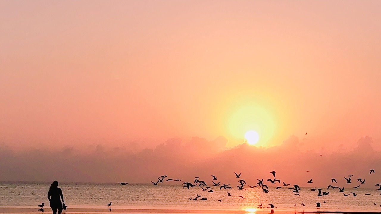 Photo of Others in Port Isabel