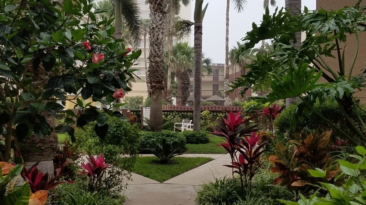 Photo of Outdoor in South Padre Island