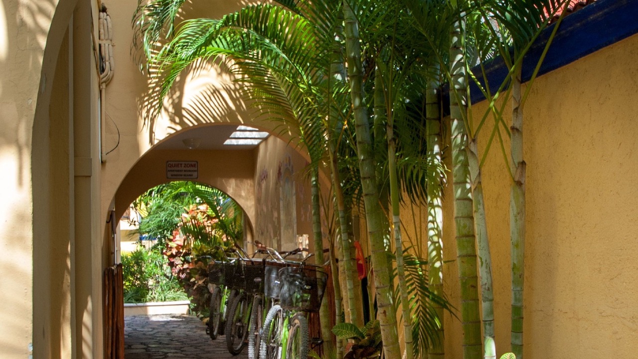 Photo of Outdoor in Puerto Morelos
