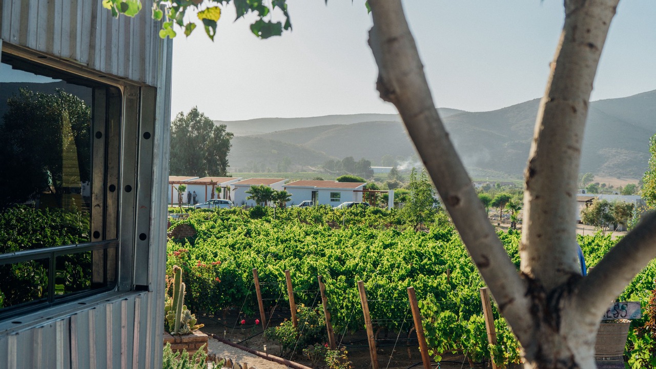 Photo of Patio Balcony in Valle de Guadalupe
