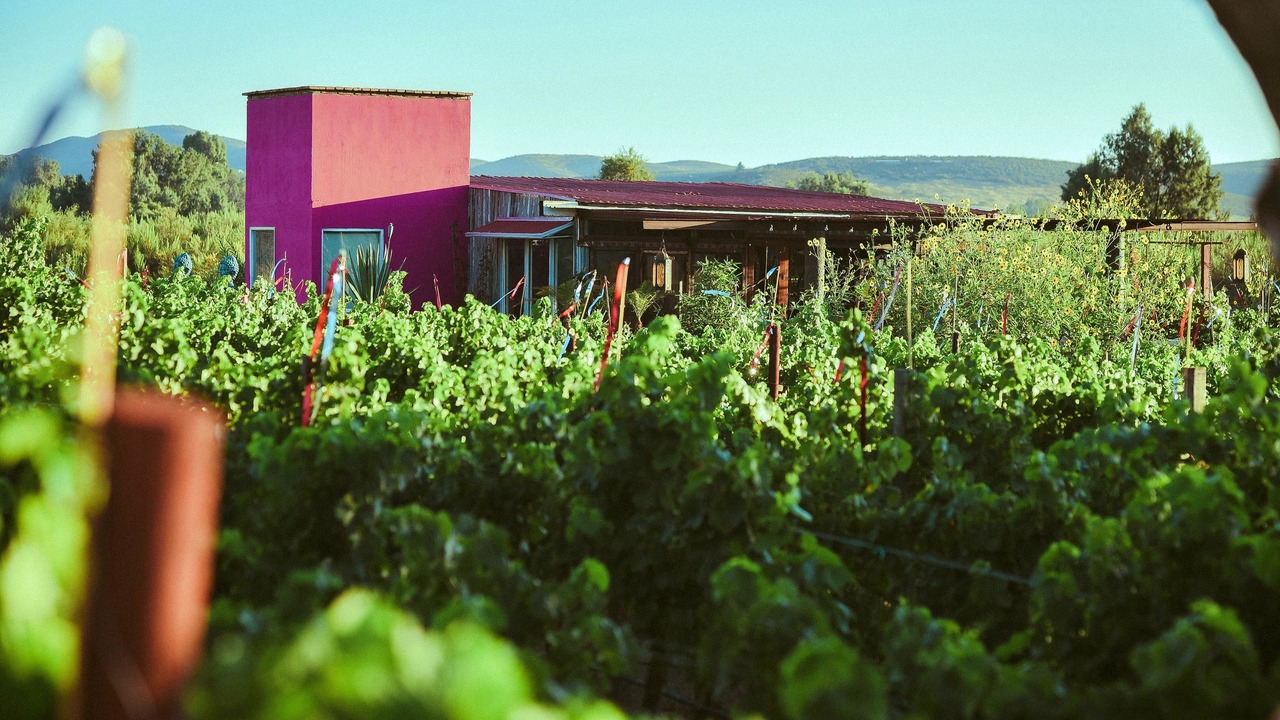 Photo of Outdoor in Valle de Guadalupe