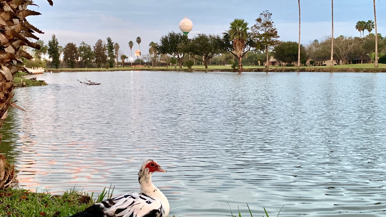 Photo of Others in Rancho Viejo