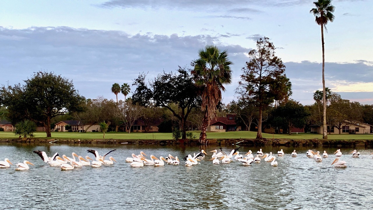 Photo of Outdoor in Rancho Viejo