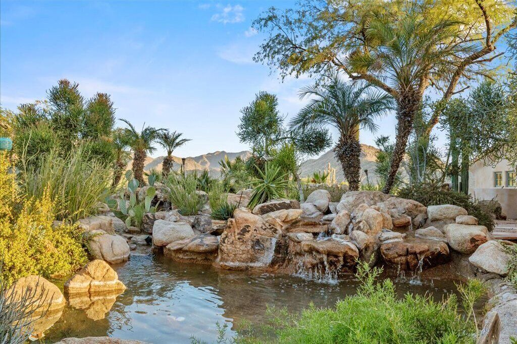 Photo of Outdoor in Pinnacle Peak Heights