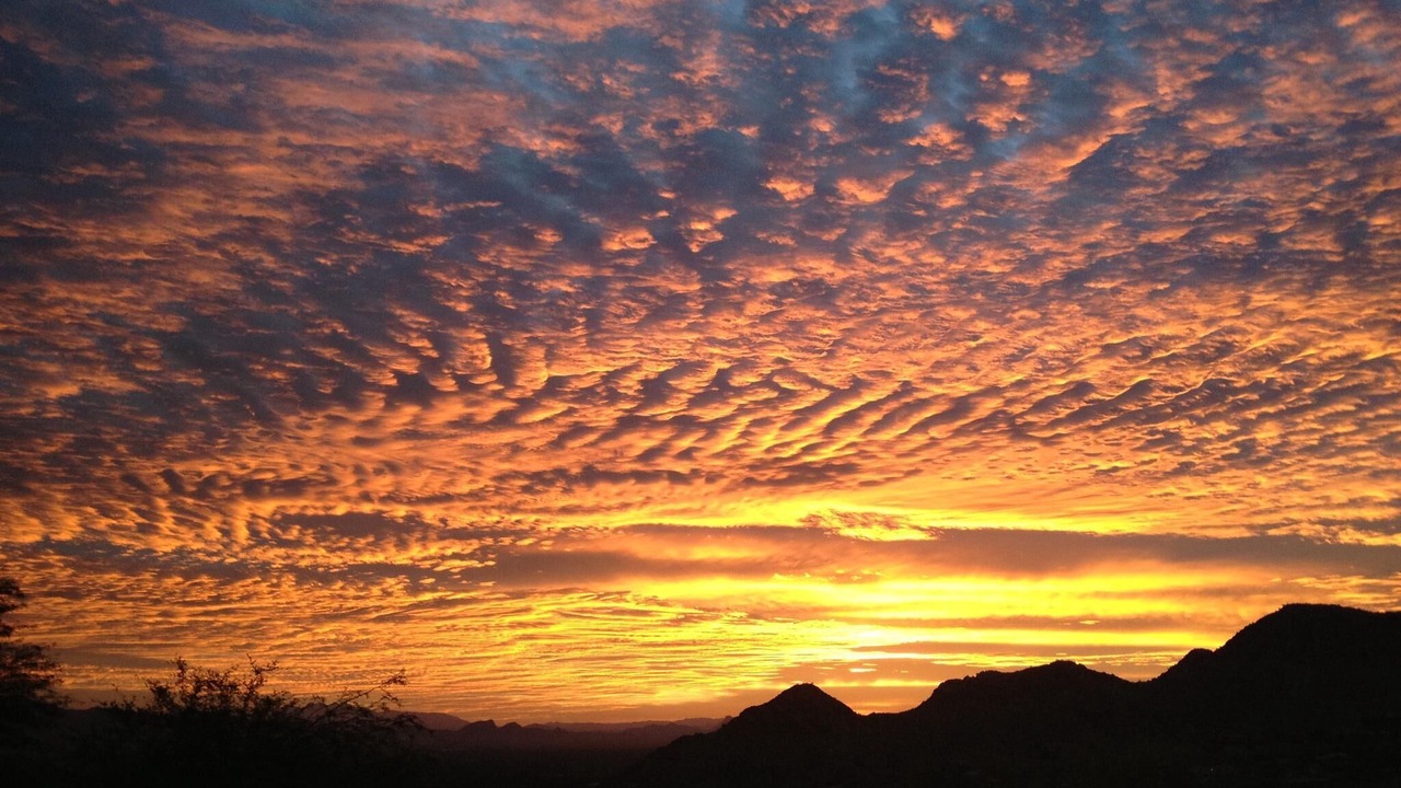 Photo of Others in Ocotillo Hills