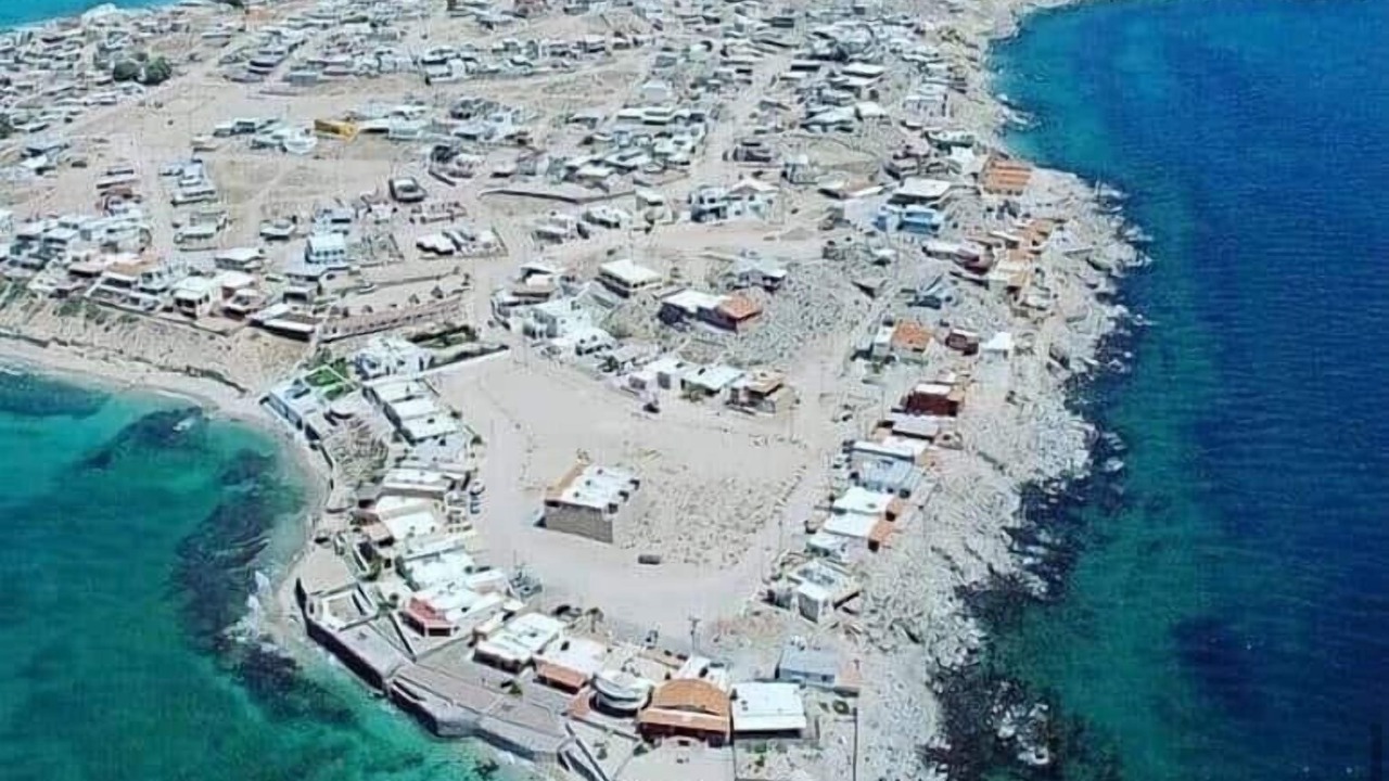 Photo of Others in Cholla Bay