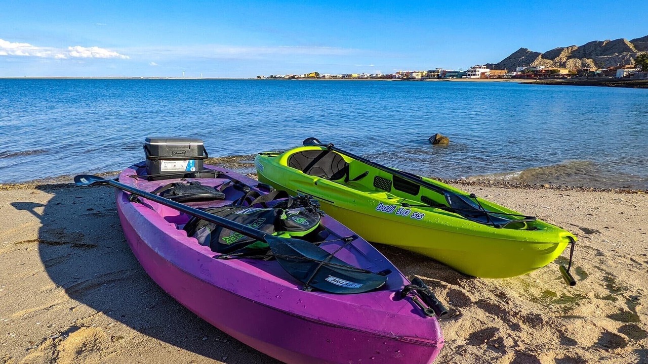 Photo of Others in Cholla Bay