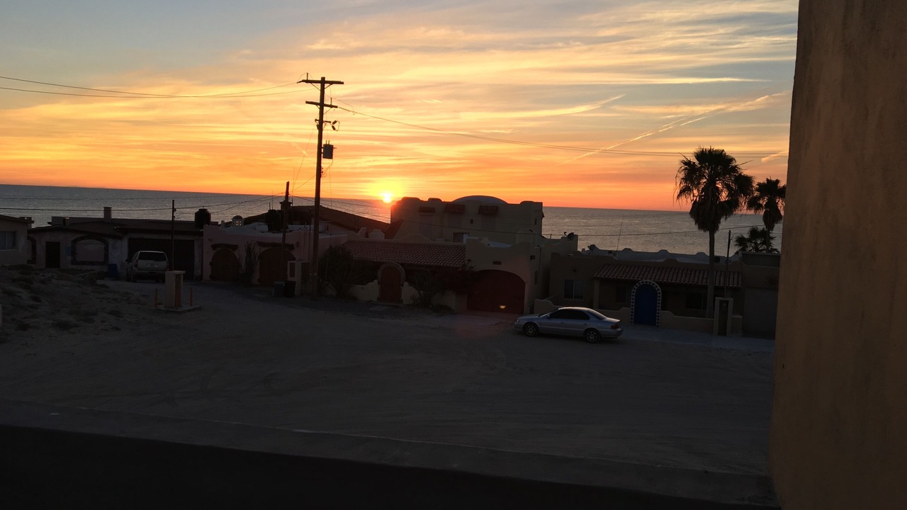 Photo of Others in Cholla Bay
