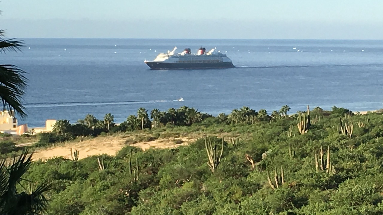 Photo of Others in Pedregal